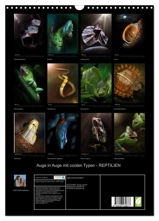 Produktbild: Auge in Auge mit coolen Typen - REPTILIEN (Wandkalender 2026 DIN A3 hoch), CALVENDO Monatskalender