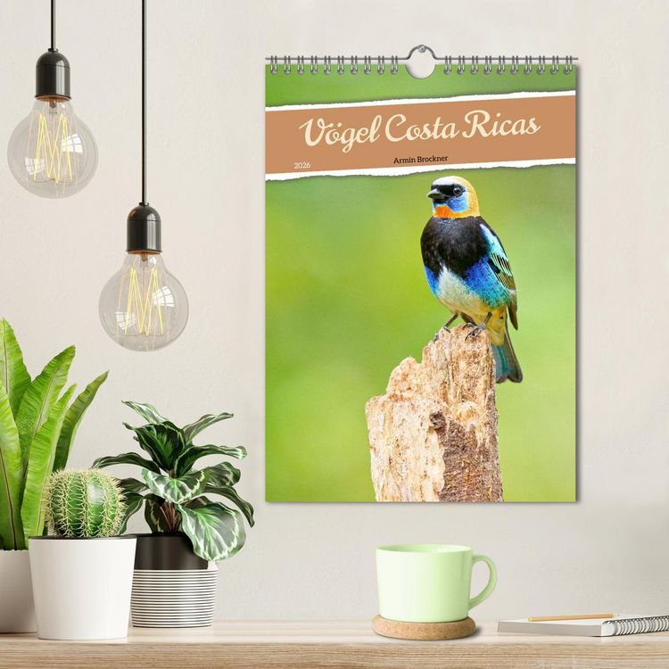 Produktbild: V&ouml;gel Costa Ricas (Wandkalender 2026 DIN A4 hoch), CALVENDO Monatskalender