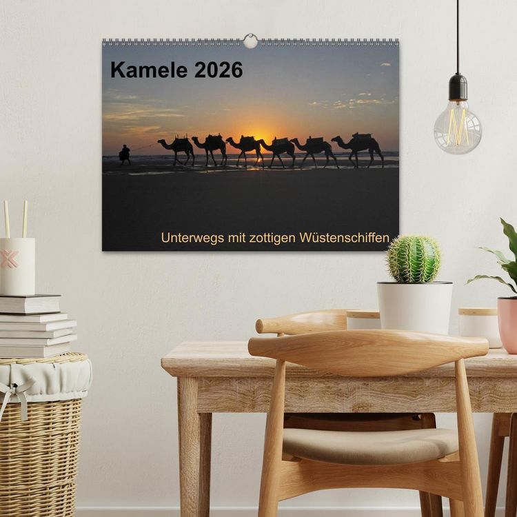 Produktbild: Kamele 2026 - Unterwegs mit zottigen W&uuml;stenschiffen (Wandkalender 2026 DIN A3 quer), CALVENDO Monatskalender