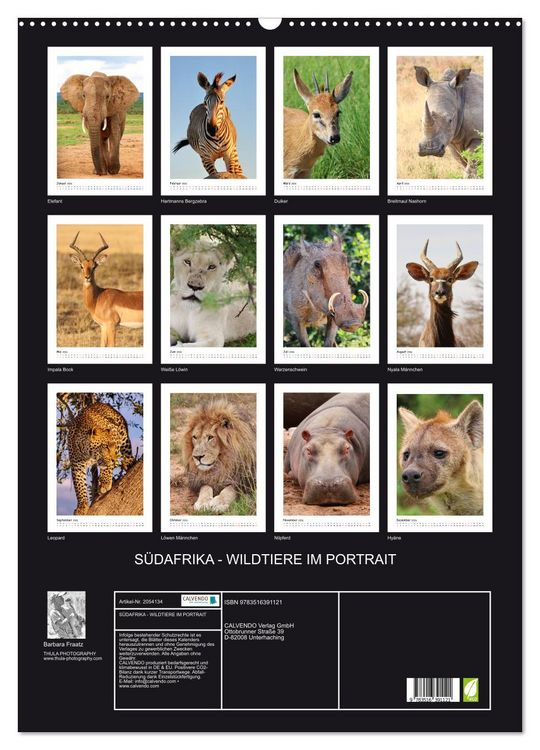 Produktbild: S&Uuml;DAFRIKA - WILDTIERE IM PORTRAIT (Wandkalender 2026 DIN A2 hoch), CALVENDO Monatskalender