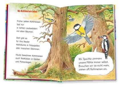 Produktbild: Die Meise
