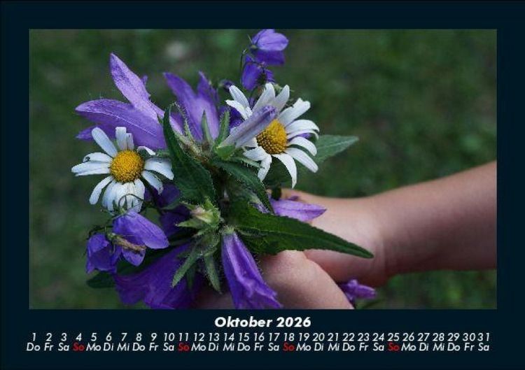 Produktbild: Blumenkalender 2026 Fotokalender DIN A5