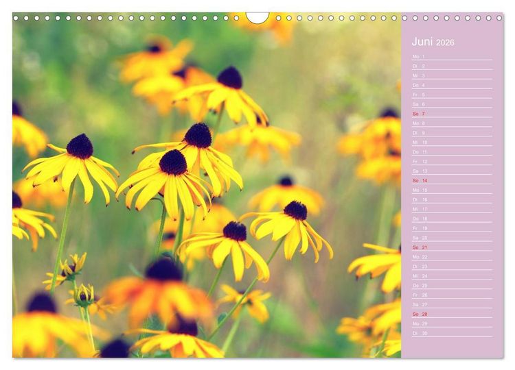 Produktbild: Blumenfreude (Wandkalender 2026 DIN A3 quer), CALVENDO Monatskalender