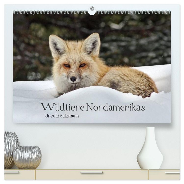 Produktbild: Wildtiere Nordamerikas (hochwertiger Premium Wandkalender 2026 DIN A2 quer), Kunstdruck in Hochglanz