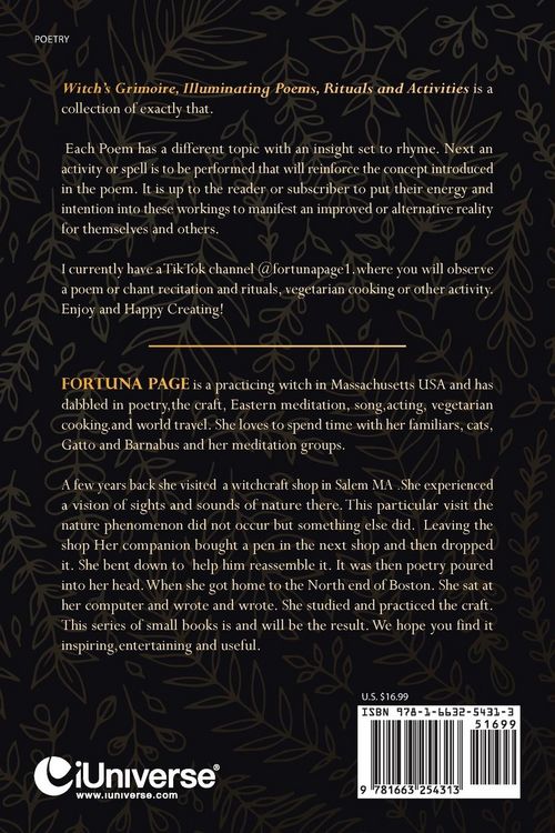 Produktbild: Witch's Grimoire Illuminating Poems, Rituals and Activities