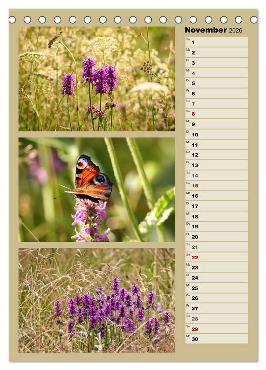 Produktbild: Farbenzauber, bunte Wiesen und bunte Falter (Tischkalender 2026 DIN A5 hoch), CALVENDO Monatskalender