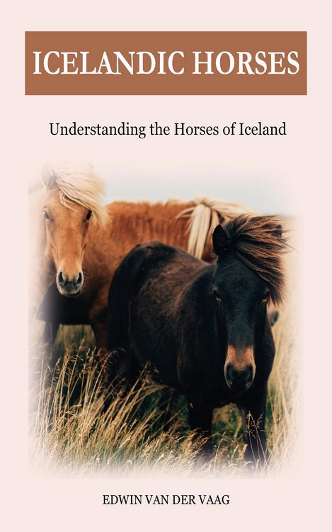 Produktbild: Icelandic horses