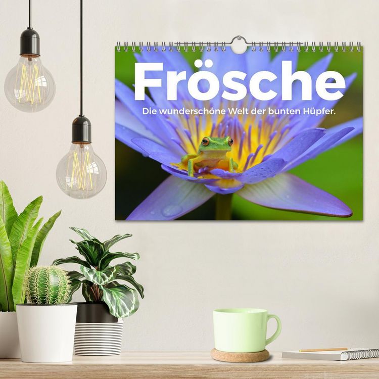 Produktbild: Fr&ouml;sche - Die wundersch&ouml;ne Welt der bunten H&uuml;pfer. (Wandkalender 2026 DIN A4 quer), CALVENDO Monatskalender