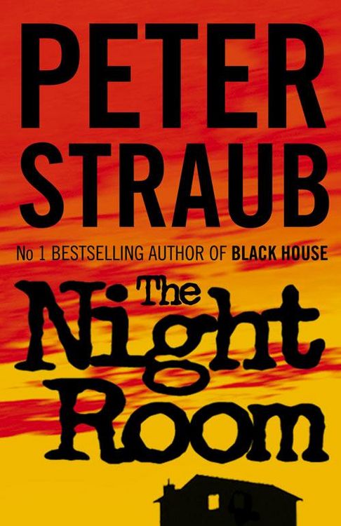Produktbild: In the Night Room