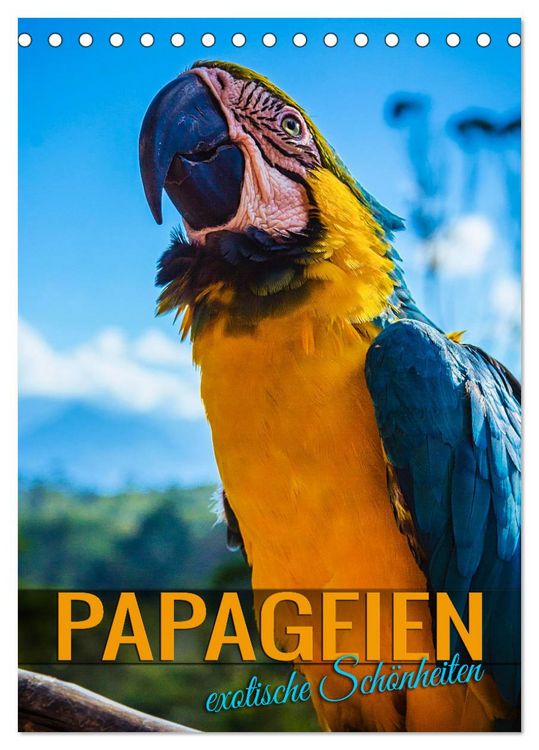 Produktbild: Papageien - exotische Sch&ouml;nheiten (Tischkalender 2026 DIN A5 hoch), CALVENDO Monatskalender
