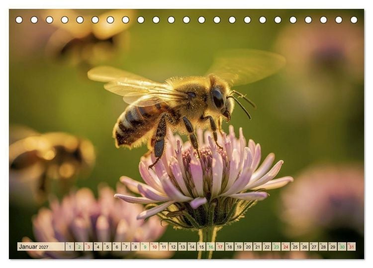 Produktbild: Die intelligentesten Tiere - Weltweit (Tischkalender 2027 DIN A5 quer), CALVENDO Monatskalender
