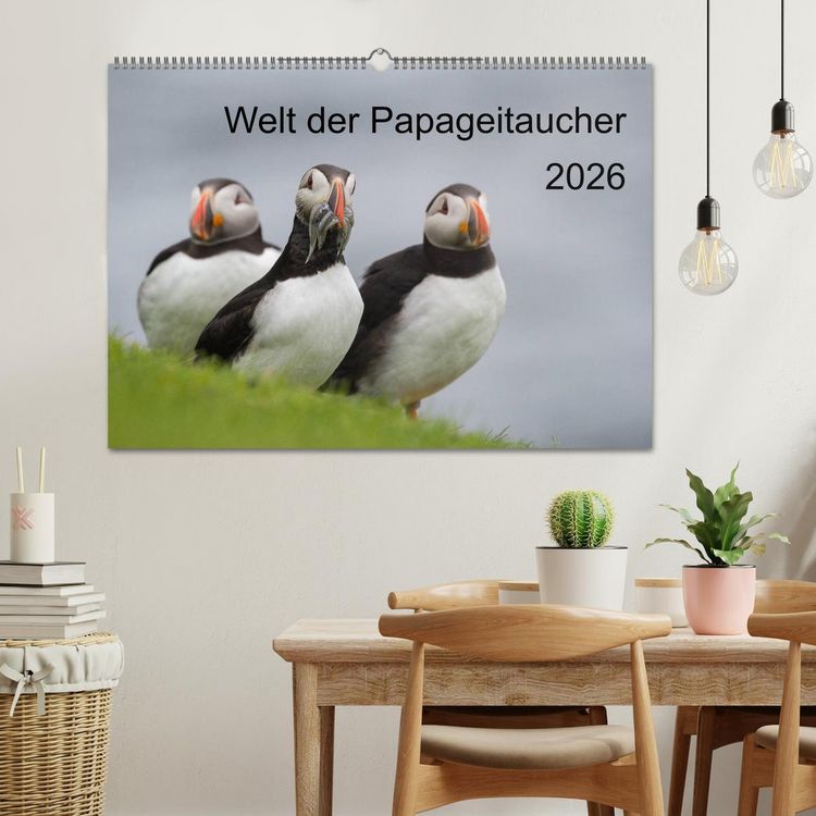 Produktbild: Welt der Papageitaucher (Wandkalender 2026 DIN A2 quer), CALVENDO Monatskalender