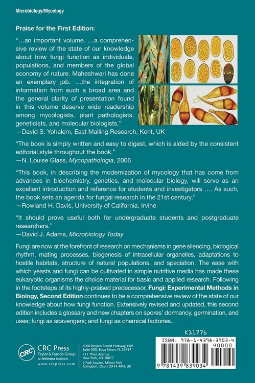 Produktbild: Fungi