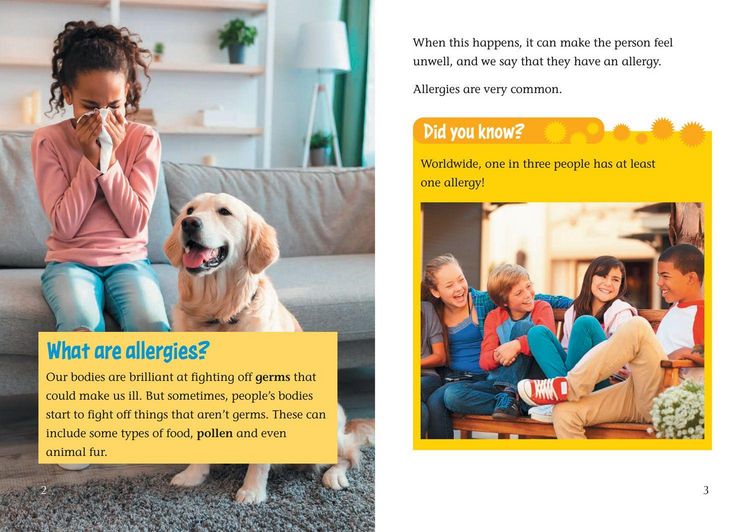 Produktbild: All About Allergies