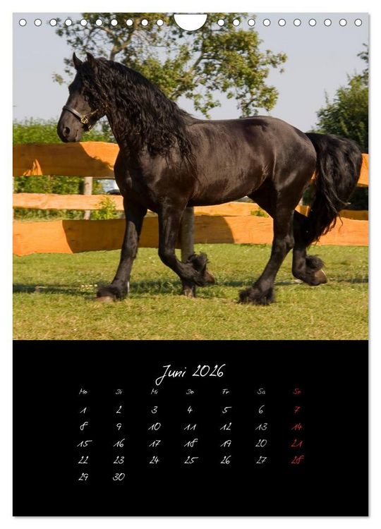 Produktbild: Tiere (Wandkalender 2026 DIN A4 hoch), CALVENDO Monatskalender