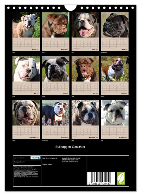 Produktbild: Bulldoggen-Gesichter (Wandkalender 2026 DIN A4 hoch), CALVENDO Monatskalender