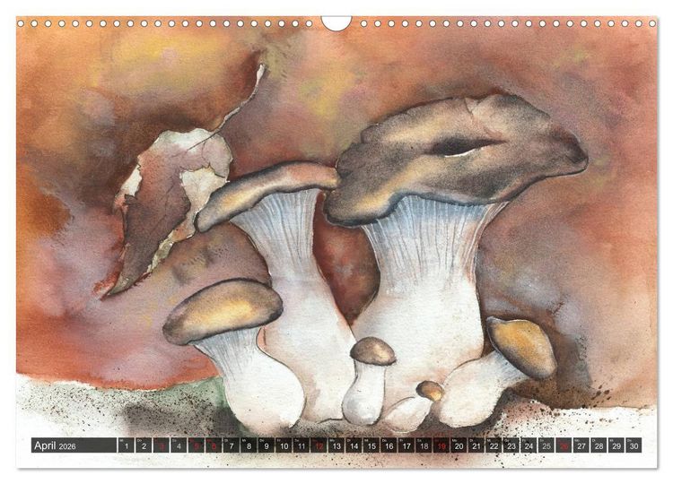 Produktbild: Pilze in Aquarell (Wandkalender 2026 DIN A3 quer), CALVENDO Monatskalender