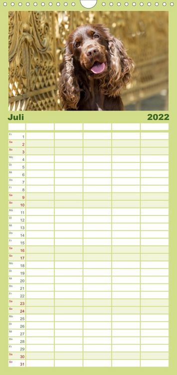 Produktbild: Familienplaner English Cocker Spaniel - Fr&ouml;hliche Gesellen (Wandkalender 2022 , 21 cm x 45 cm, hoch)