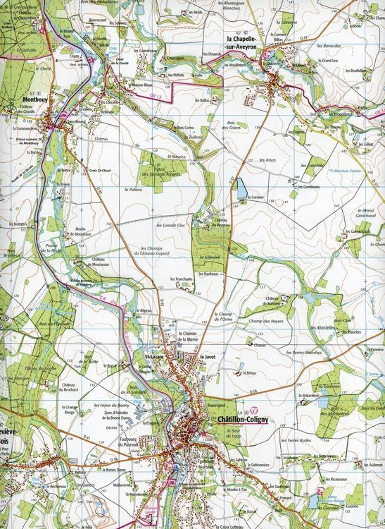 Produktbild: Ch&acirc;tillon-Coligny-Nogent-sur-Vernisson 1:25 000