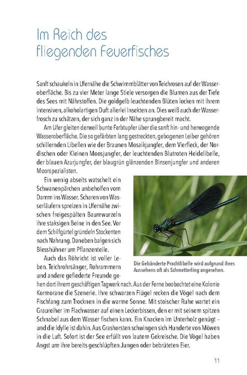 Produktbild: N&ouml;rdlicher Oberpf&auml;lzer Wald