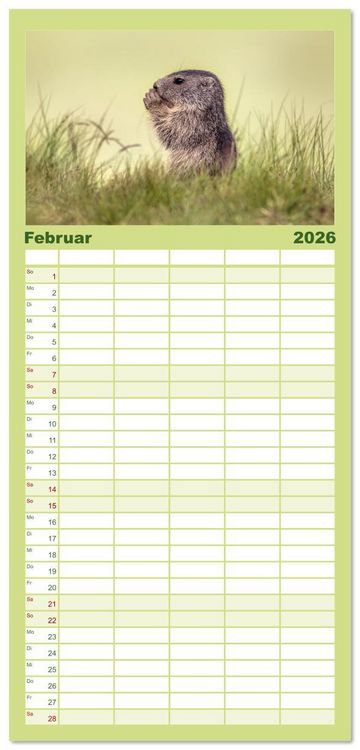 Produktbild: Familienplaner 2026 - Tiere der Alpen - Murmeltier-Kinder mit 5 Spalten (Wandkalender, 21 x 45 cm) CALVENDO