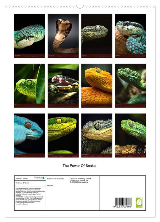Produktbild: The Power Of Snake (hochwertiger Premium Wandkalender 2026 DIN A2 hoch), Kunstdruck in Hochglanz
