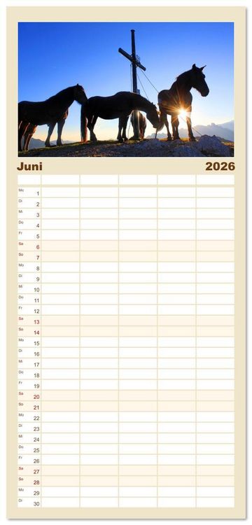 Produktbild: Familienplaner 2026 - Gipfelkreuze im Sonnenlicht mit 5 Spalten (Wandkalender, 21 x 45 cm) CALVENDO