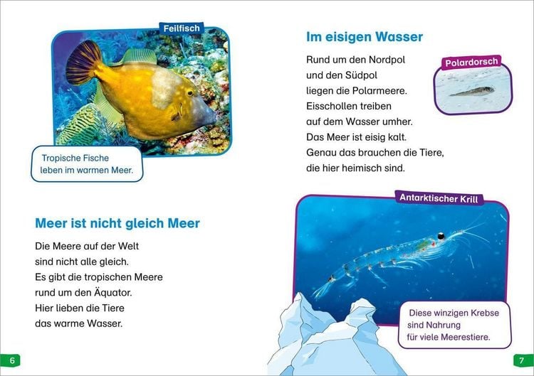 Produktbild: WAS IST WAS Erstes Lesen easy! Band 2. Tiere im Meer