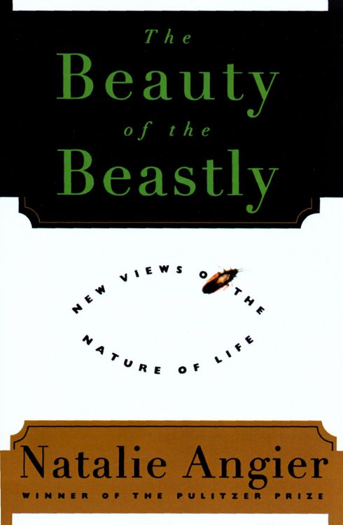 Produktbild: The Beauty Of The Beastly