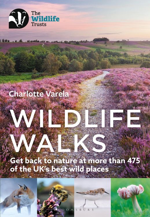 Produktbild: Wildlife Walks