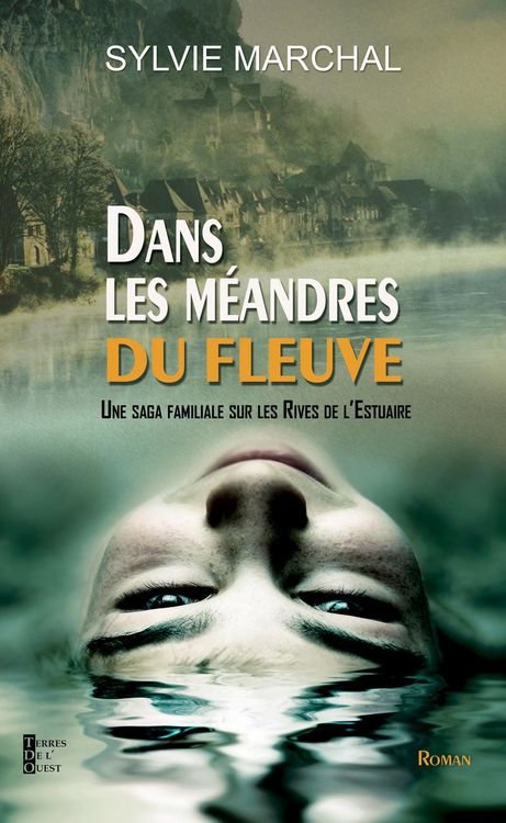 Produktbild: Dans les m&eacute;andres du fleuve