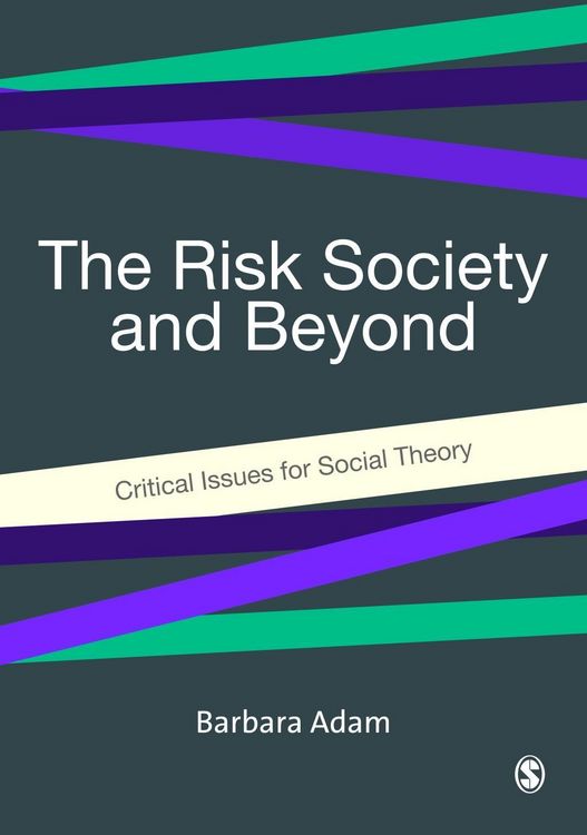 Produktbild: The Risk Society and Beyond