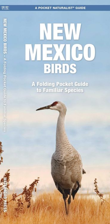 Produktbild: New Mexico Birds