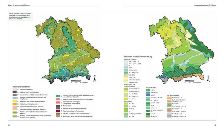 Produktbild: Flora von Bayern