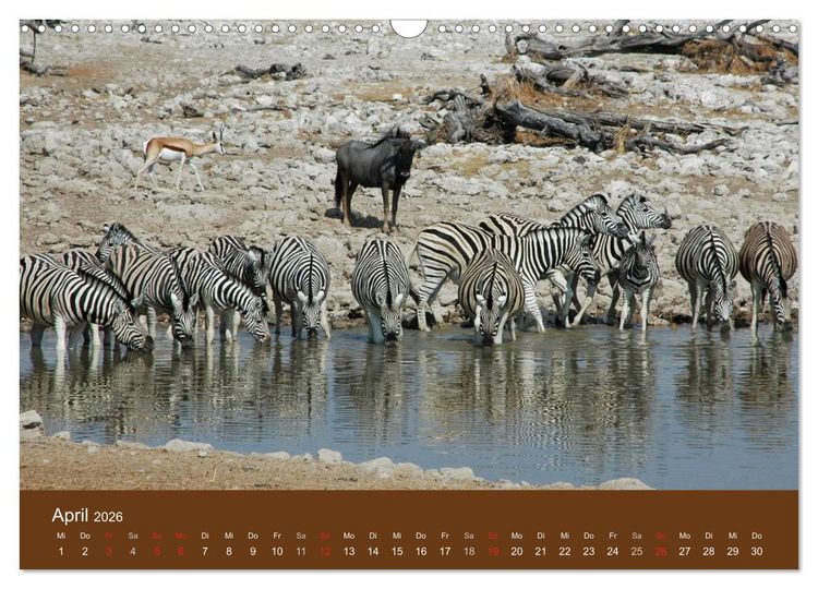 Produktbild: Namibia - faszinierende Menschen und Tiere (Wandkalender 2026 DIN A3 quer), CALVENDO Monatskalender