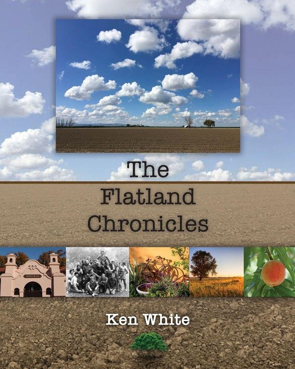 Produktbild: The Flatland Chronicles