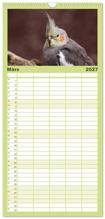 Produktbild: Familienplaner 2027 - Nymphensittiche mit 5 Spalten (Wandkalender, 21 x 45 cm) CALVENDO