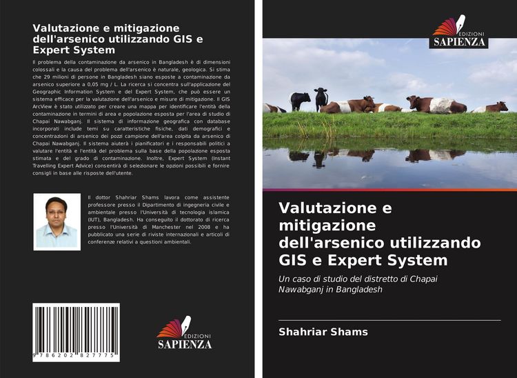 Produktbild: Valutazione e mitigazione dell'arsenico utilizzando GIS e Expert System
