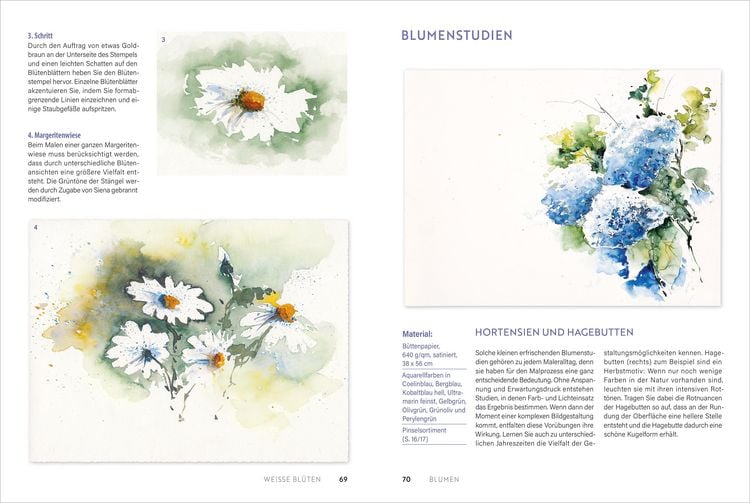 Produktbild: Handbuch Aquarell