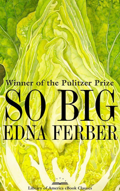 Produktbild: So Big: A Novel