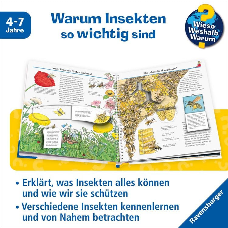 Produktbild: Wieso? Weshalb? Warum? Band 39 - Wir entdecken Insekten