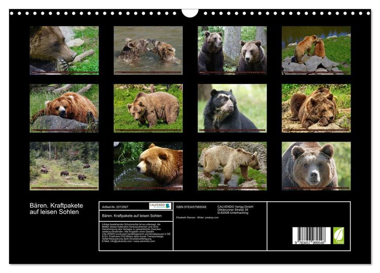 Produktbild: B&auml;ren. Kraftpakete auf leisen Sohlen (Wandkalender 2026 DIN A3 quer), CALVENDO Monatskalender