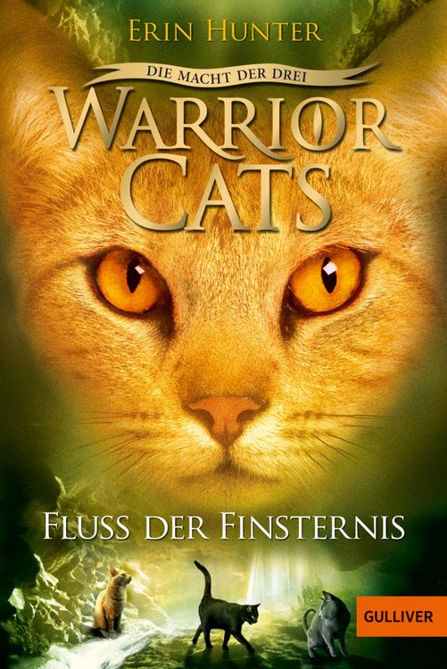Produktbild: Warrior Cats Staffel 03/2. Die Macht der Drei. Der Fluss der Finsternis