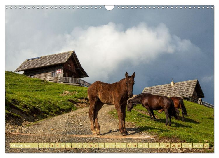 Produktbild: Die Feistritzer Alm - Wandern in den K&auml;rntner Bergen (Wandkalender 2026 DIN A3 quer), CALVENDO Monatskalender