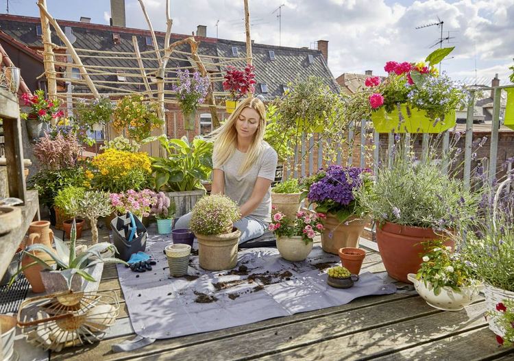 Produktbild: GARDENA CityGardening 00507-20Pflanzmatte