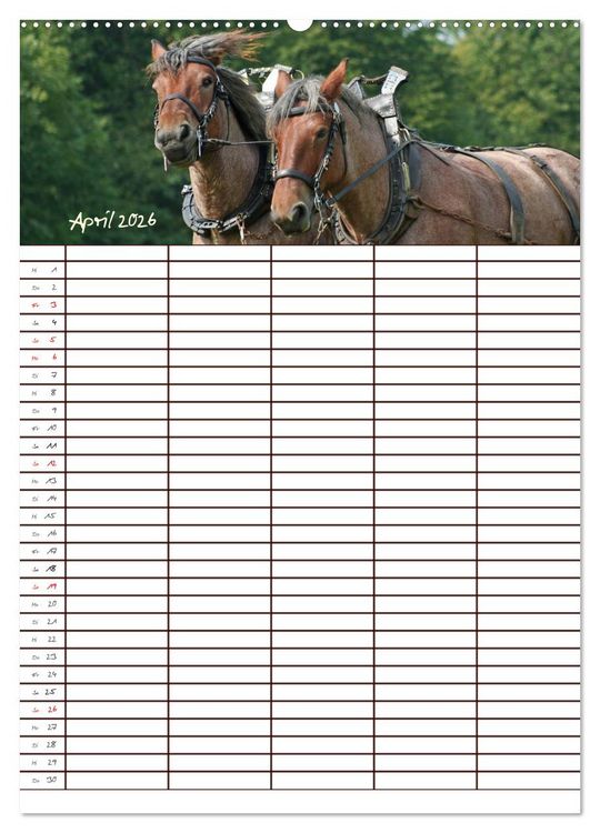 Produktbild: Der Kaltblut-Familienplaner (Wandkalender 2026 DIN A2 hoch), CALVENDO Monatskalender