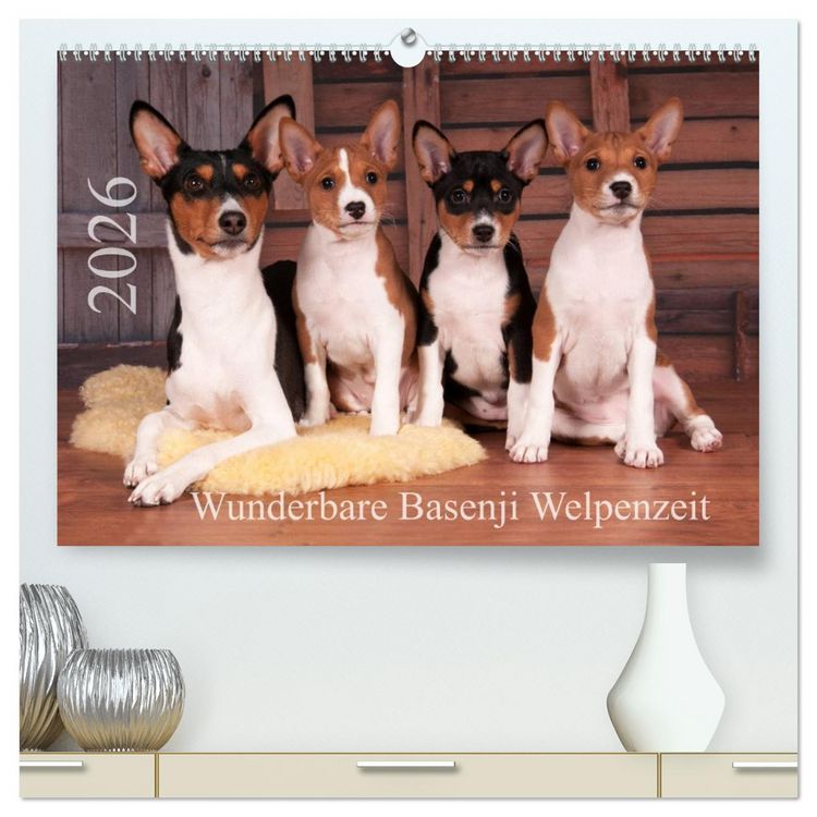 Produktbild: Wunderbare Basenji Welpenzeit (hochwertiger Premium Wandkalender 2026 DIN A2 quer), Kunstdruck in Hochglanz