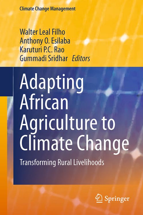 Produktbild: Adapting African Agriculture to Climate Change