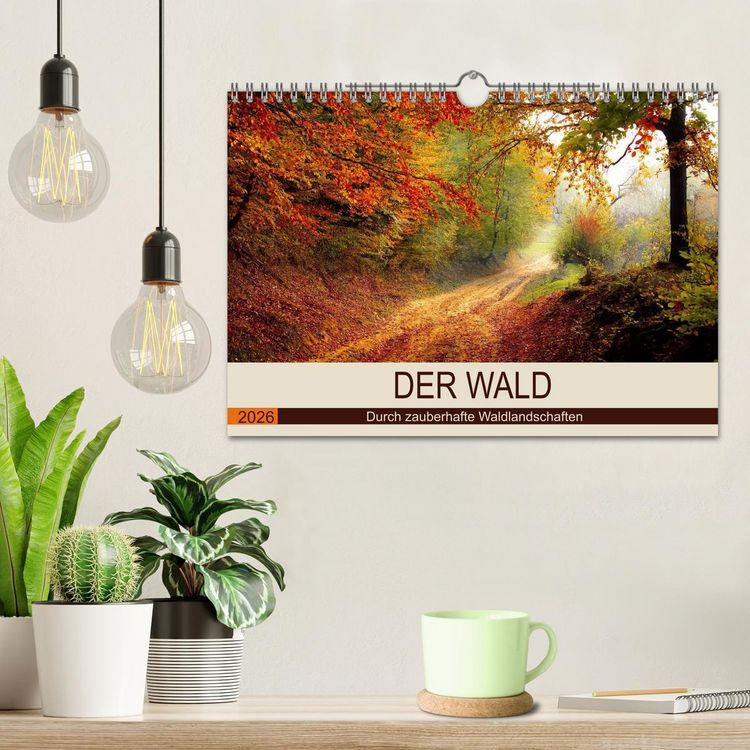 Produktbild: Der Wald. Durch zauberhafte Waldlandschaften (Wandkalender 2026 DIN A4 quer), CALVENDO Monatskalender