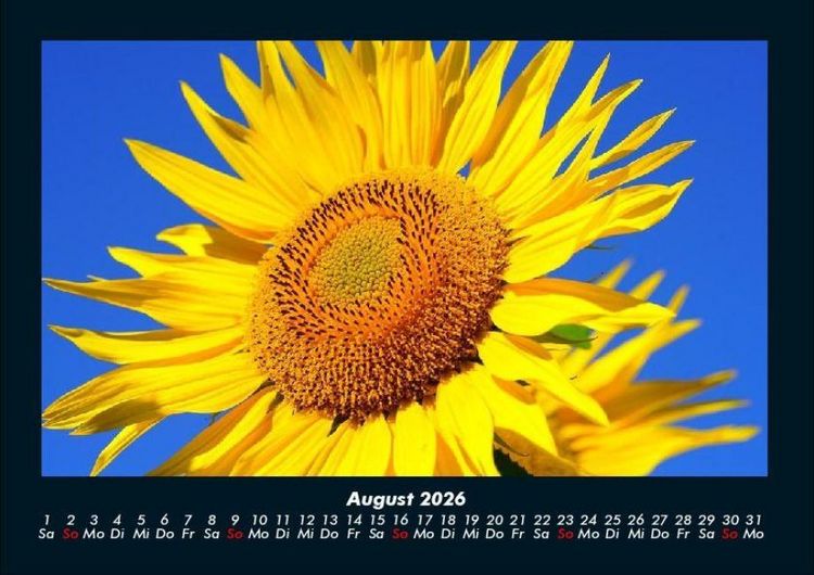 Produktbild: Blumentr&auml;ume 2026 Fotokalender DIN A4